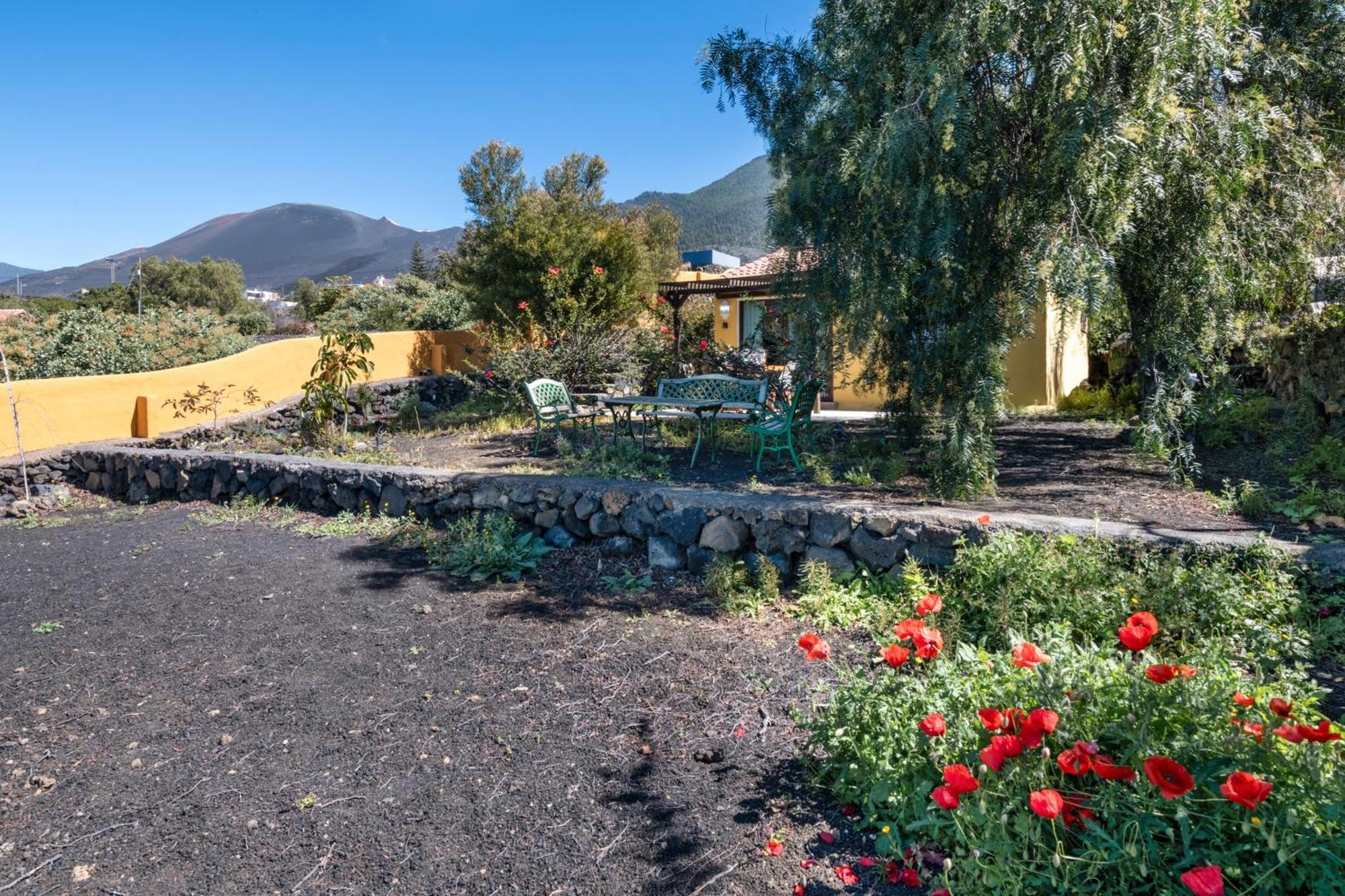 El Jardin De Las Pleyades Los Llanos De Aridane Eksteriør billede